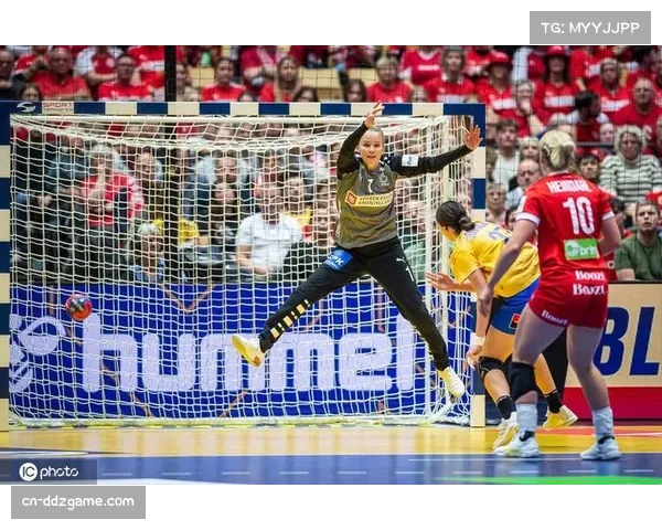 丹麦队赢得手球欧洲杯冠军，完成奥运会世界杯欧洲杯大满贯