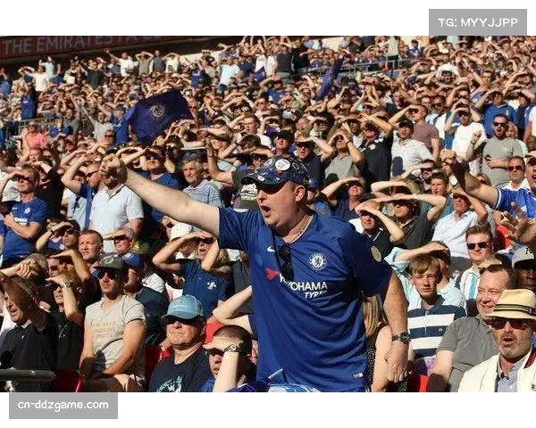 欧足联启动反种族歧视程序,严惩赛场不当行为 欧足联启动反种族歧视程序,严惩赛场不当行为